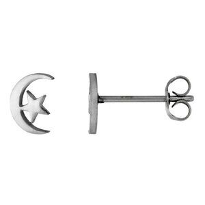 Stainless Steel Tiny Moon & Star Stud Earrings
